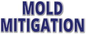 mold_mitigation.png